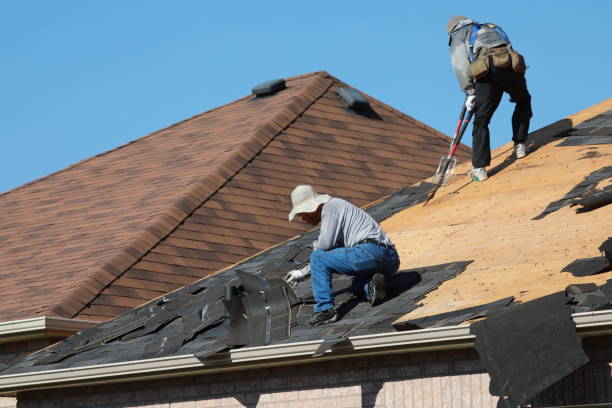 Best Roof Moss and Algae Removal  in Murphysboro, IL