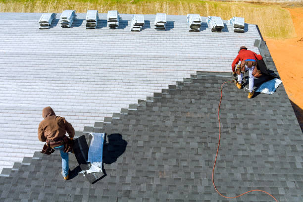 Best Metal Roofing Installation  in Murphysboro, IL